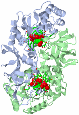 Image Asym./Biol. Unit - sites