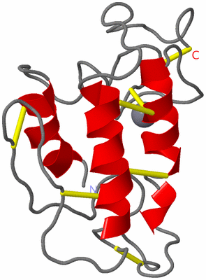 Image NMR Structure - model 1