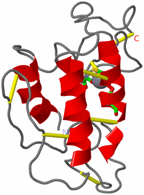 Image NMR Structure - model 1, sites