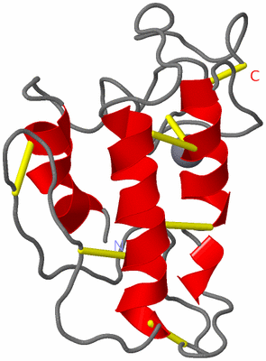 Image NMR Structure - model 1