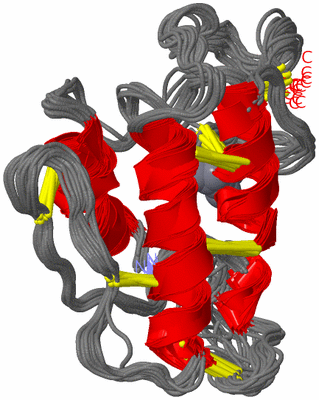 Image NMR Structure - all models