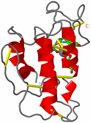 Image NMR Structure - model 1, sites