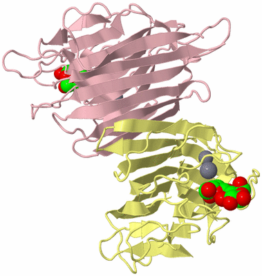 Image Biological Unit 3