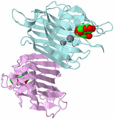 Image Biological Unit 4