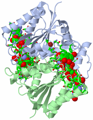 Image Asym./Biol. Unit - sites