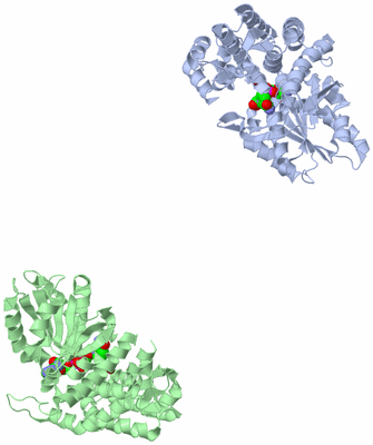 Image Asymmetric Unit