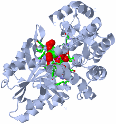 Image Biol. Unit 1 - sites