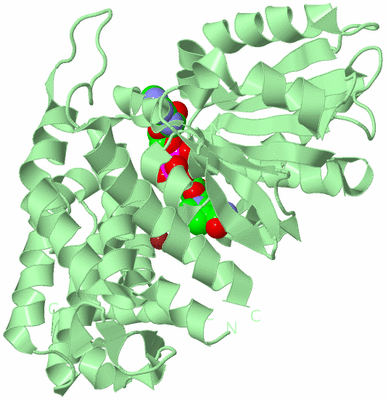 Image Biological Unit 2