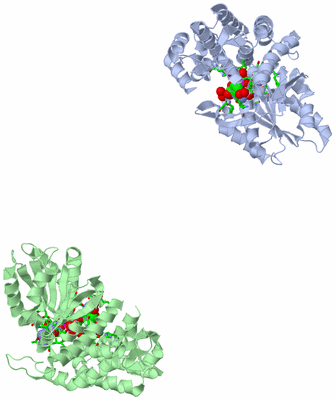 Image Asym. Unit - sites