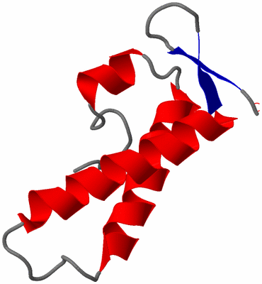 Image NMR Structure - model 1