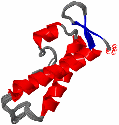 Image NMR Structure - all models