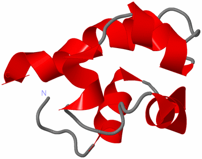 Image NMR Structure - model 1