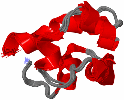 Image NMR Structure - all models