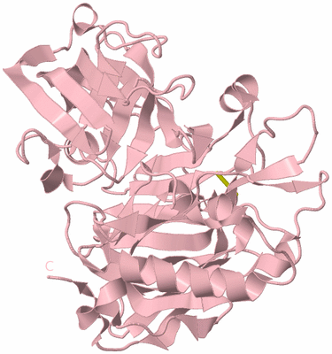 Image Biological Unit 3