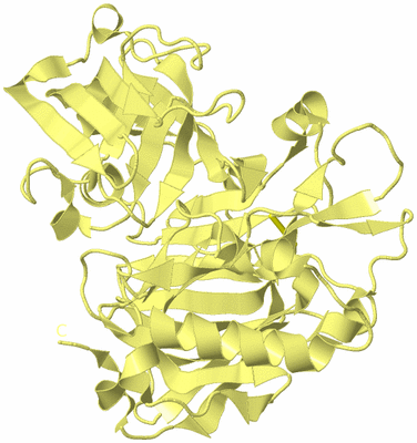 Image Biological Unit 4