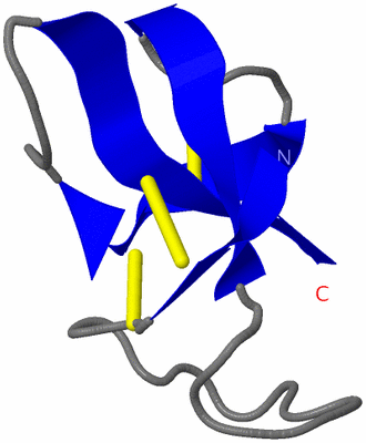 Image NMR Structure - model 1