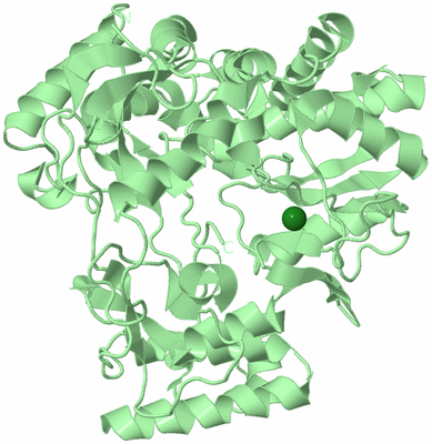 Image Biological Unit 2