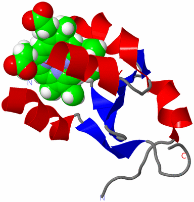 Image NMR Structure - model 1