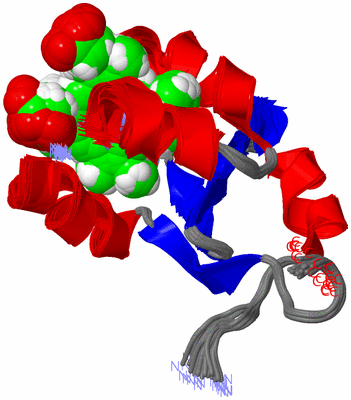 Image NMR Structure - all models