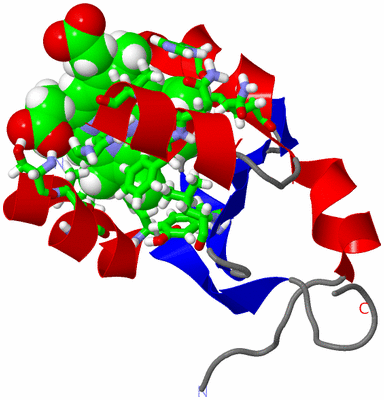 Image NMR Structure - model 1, sites