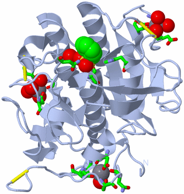 Image Biol. Unit 1 - sites