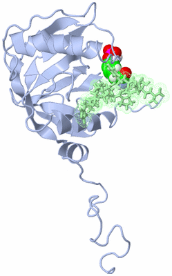 Image NMR Structure - model 1