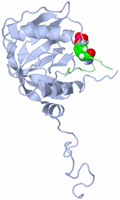 Image NMR Structure - all models