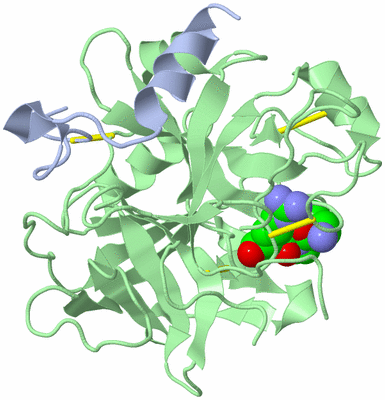 Image Biological Unit 1