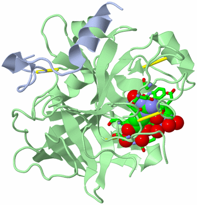 Image Biol. Unit 1 - sites