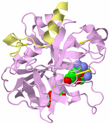 Image Biological Unit 2