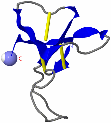 Image NMR Structure - model 1