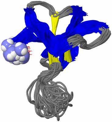 Image NMR Structure - all models