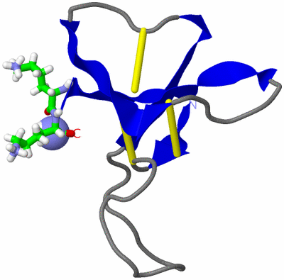 Image NMR Structure - model 1, sites