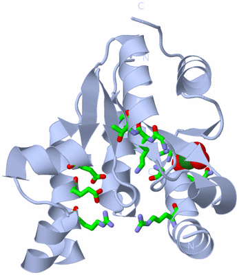 Image Biol. Unit 1 - sites