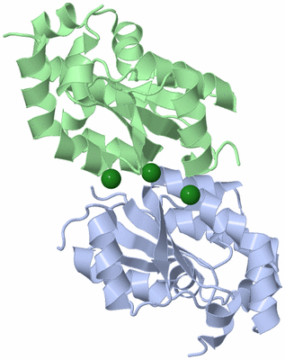 Image Biological Unit 3