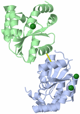 Image Biological Unit 4