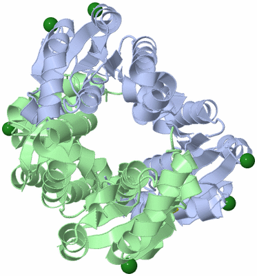 Image Biological Unit 5