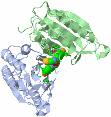 Image Asym./Biol. Unit - sites