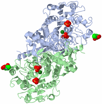 Image Asym./Biol. Unit