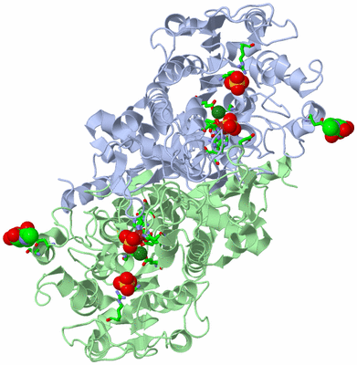 Image Asym./Biol. Unit - sites