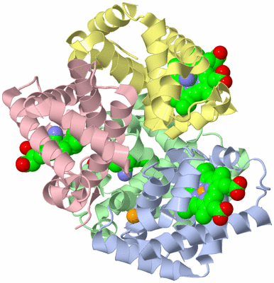 Image Asym./Biol. Unit