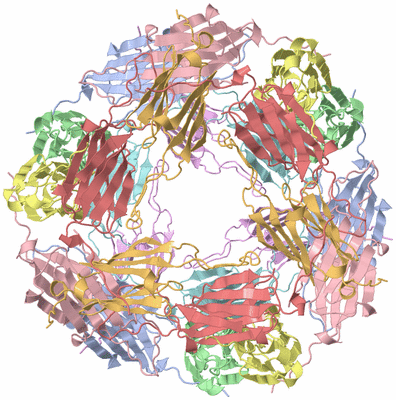 Image Biological Unit 1