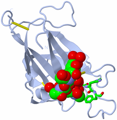 Image Biol. Unit 1 - sites