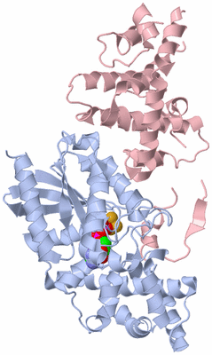 Image Biological Unit 1