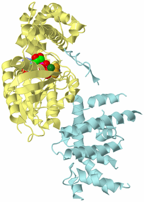 Image Biological Unit 2