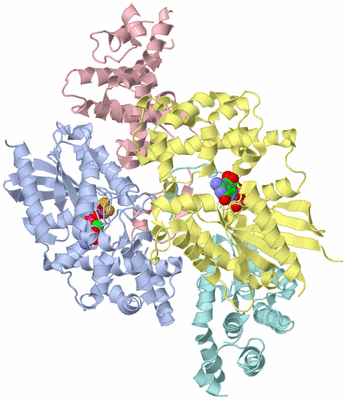 Image Biological Unit 3