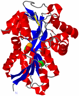 Image Asym./Biol. Unit