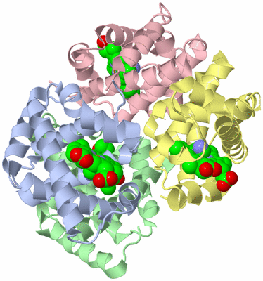 Image Asym./Biol. Unit