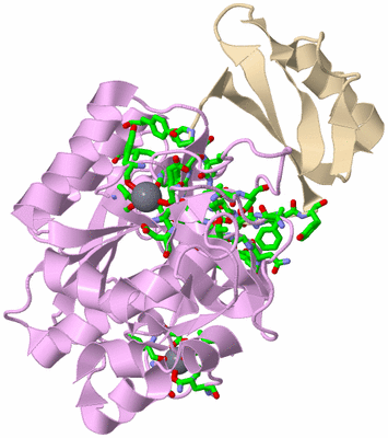 Image Asym./Biol. Unit - sites