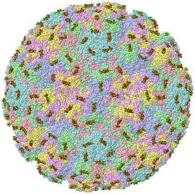 Image Biological Unit 1